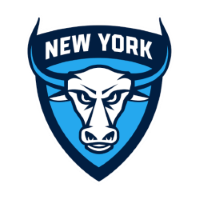 Team Badge