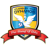 Aylesbury Vale Dynamos badge