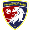 Păușești-Otăsău badge
