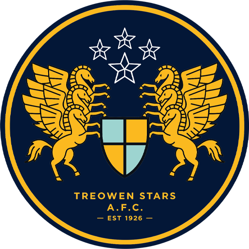 Treowen Stars 隊徽
