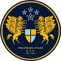 Team Badge