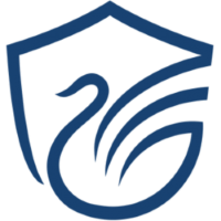 Former team badge icon