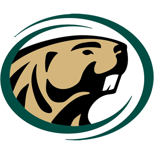 Team Badge icon