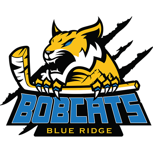 Team Badge icon