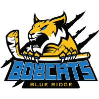 Team Badge