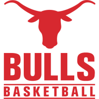 Former team badge icon