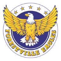 Former team badge icon