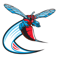 Former team badge icon