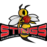 Former team badge icon