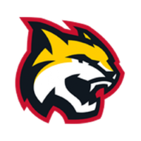 Former team badge icon