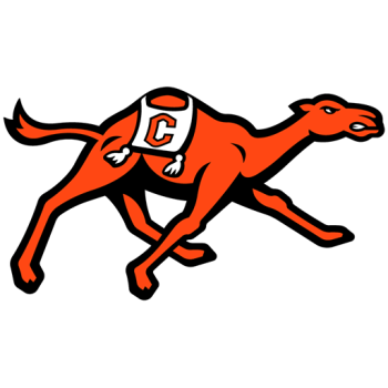Team Badge