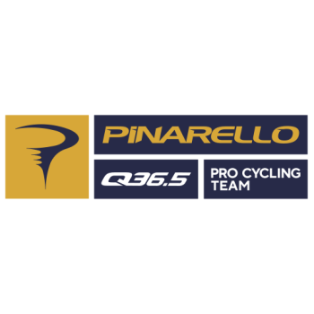 Team Badge