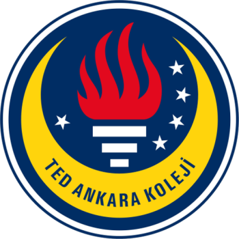 home team badge