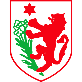 Team Badge