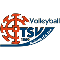 Former team badge icon