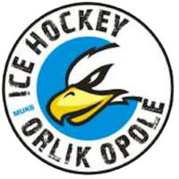 Former team badge icon