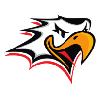 Team Badge