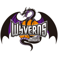 Former team badge icon