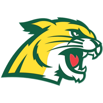 Team Badge