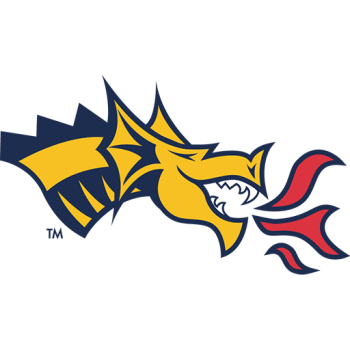 Team Badge