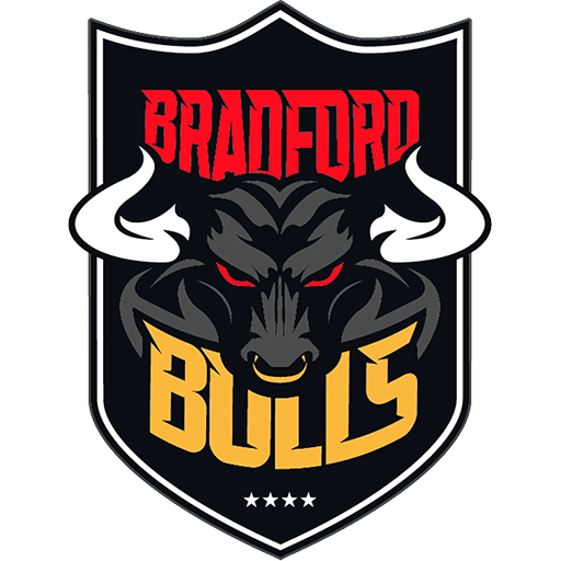 Team Badge icon