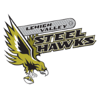 Former team badge icon