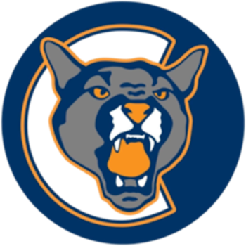 Team Badge