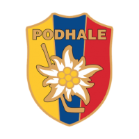Former team badge icon
