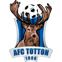 Team Badge