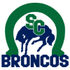 home team badge