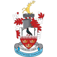 Former team badge icon