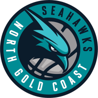 Former team badge icon