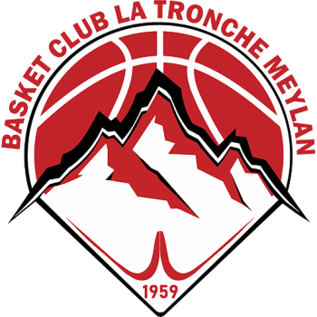 team badge