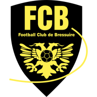 Former team badge icon