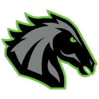 Former team badge icon