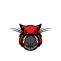 Former team badge icon