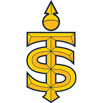 Team Badge