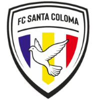 Former team badge icon