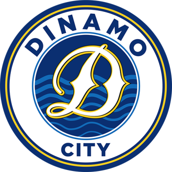 Team Badge