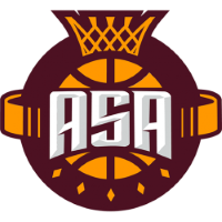 Former team badge icon