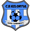 Gilortul Târgu Cărbunești badge