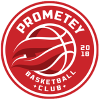 Former team badge icon