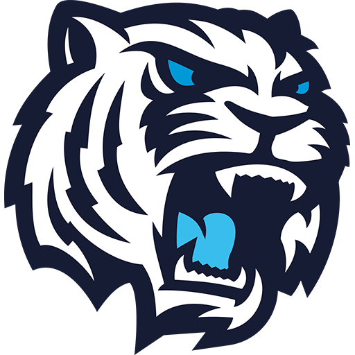 Team Badge icon