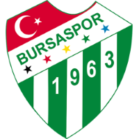 Former team badge icon