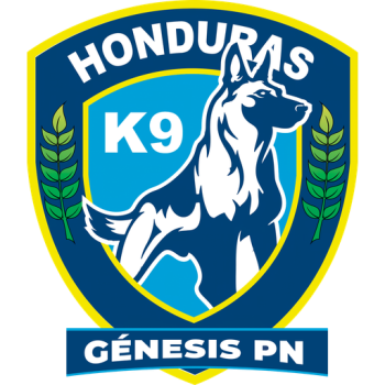 Team Badge