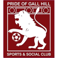 Team Badge