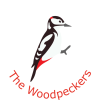 Former team badge icon