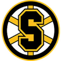 Former team badge icon