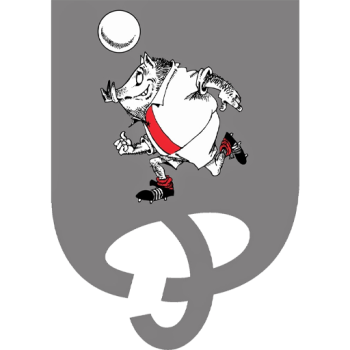 Team Badge
