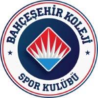 Former team badge icon